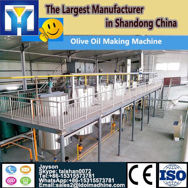 Advanced palm oil press machine for export to Africa malaysia indonesia #1 image