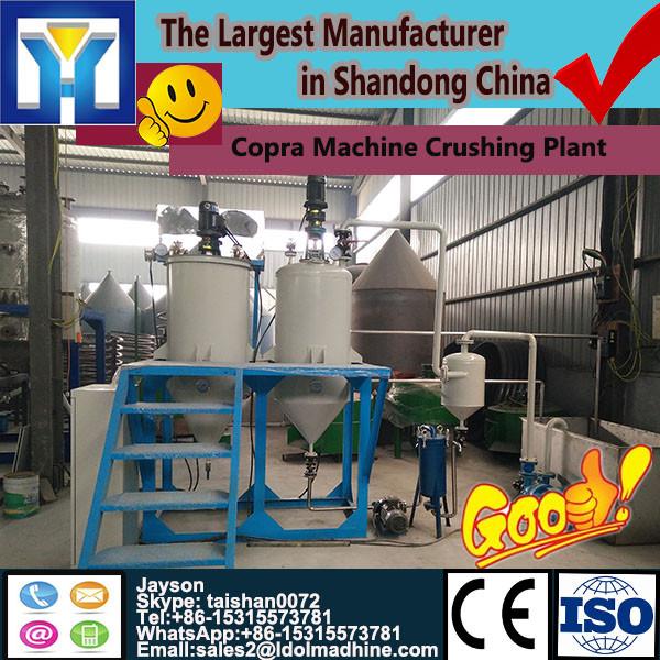 2016 Cost-effective single screw extruder for fish feed #1 image