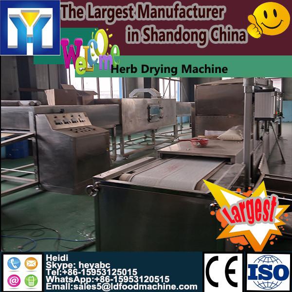 Fruit and vegetables washing ,polishing and air drying processing line #1 image