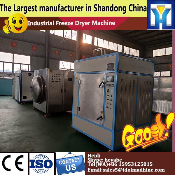 2015 newest product food freeze dryer/fruit&amp;vegetables freeze drying machine made in china #1 image