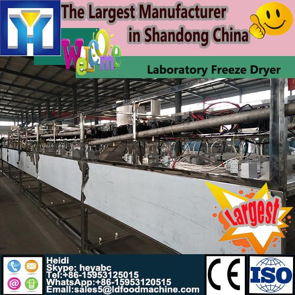 2 m2 freeze drying machine vacuum freeze dryer #1 image